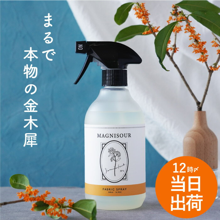 ں 롼ե쥰 ץ졼 롼ॹץ졼 롼ߥ  ե֥å MAGNISOUR / ޥ˥   ⥯...