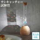 開店祝い サロン 名入れ 大人かわいい雑貨 送料無料 【 サンキャッチャー 試験管 】 レインボーメーカー 北欧雑貨 インテリア 雑貨 かわいい おしゃれ クリ...