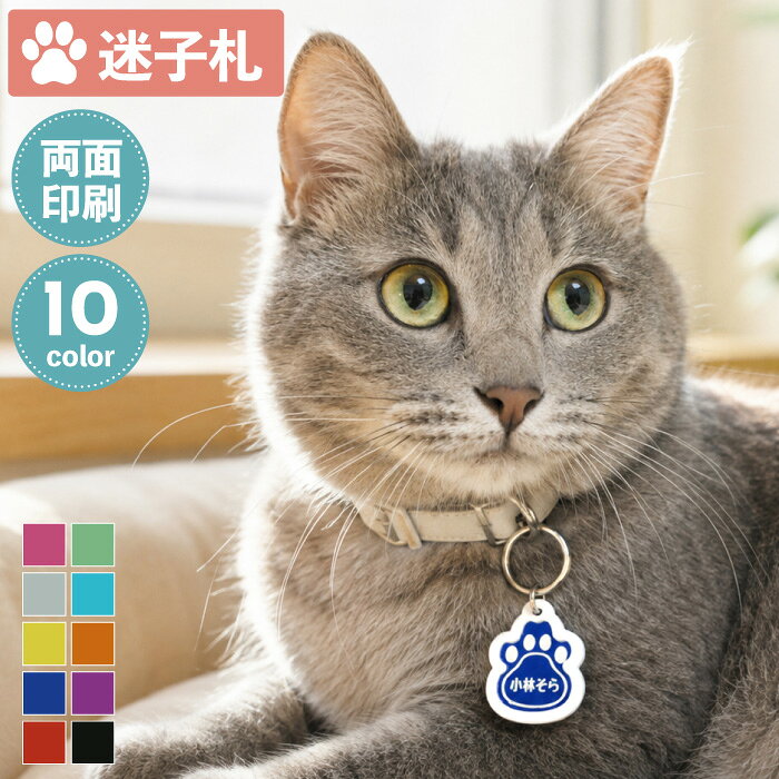 楽天市場】猫 シュシュ 首輪（ネームタグ・迷子札｜首輪・ハーネス