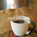 送料無料 ガテマラ SHB　100g