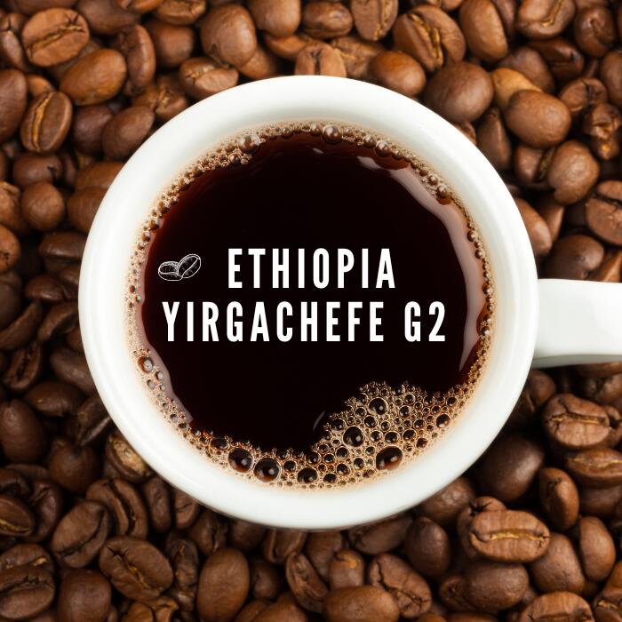 エチオピア イルガチェフ G2 200g ウオッシュド　Ethiopia mocha レモンやグレープフルーツなどの柑橘類、花のような香り、透明感 コーヒー　スペシャルティコーヒー コーヒー コーヒー豆 フルーティ エチオピアコーヒー　モカコーヒー コーヒー豆