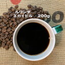 アフリカ ルワンダ　スカイヒル 200g コーヒー Rwanda　2015年までは毎年 カップオブエクセレンス が開かれており、品質の良い スペシャルティコーヒー を生産 アフリカの奇跡