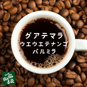 グアテマラ ウエウエテナンゴ パルミラ 100g 標高1,500m~1,900mの地域に位置しています メキシコとの国境近くにあり、昼夜の温度差が激しいことから、硬く豊かな酸味のあるコーヒーが生産されています