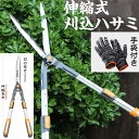 剪定ばさみ 刈り込みばさみ 伸縮式 770mm ~ 最長 880mm のびーる SK-5鋼 アルミ合金柄 刈込鋏 枝切りはさみ 手袋付き 刈り込み鋏 長さ 無段階調整 園芸はさみ 花鋏 園芸用品 DIY ガーデニング 庭木 芝生 雑草除去 お手入れ用具 伸縮式 刈込ハサミ