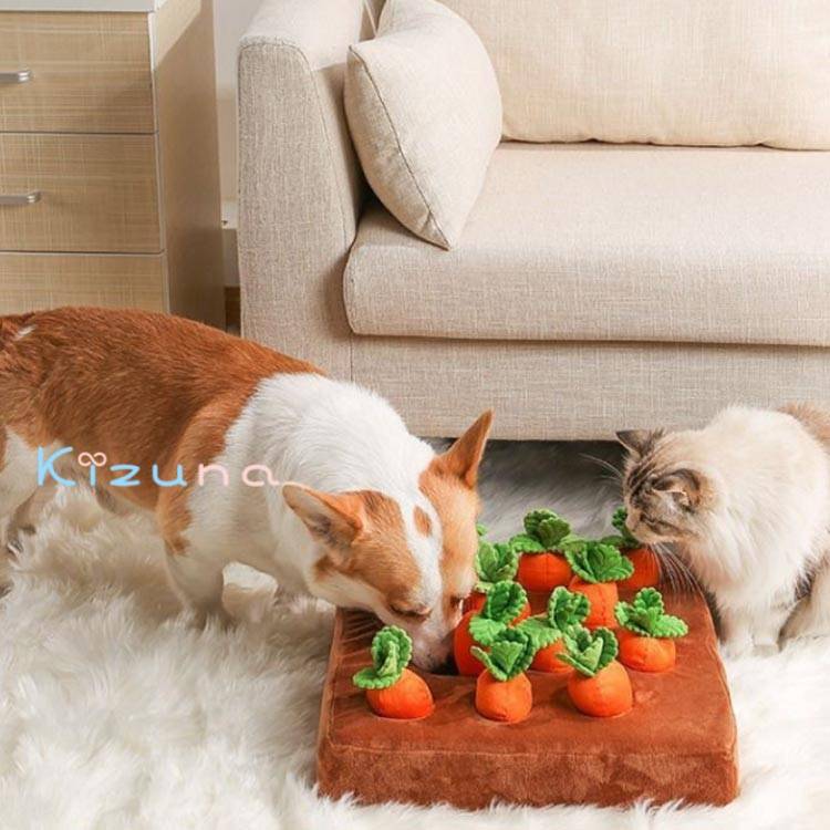 ペット おもちゃ にんじん畑 犬 猫 知育玩具 ノーズワークトイ ペット用 知育おもちゃ ペット用品 ぬいぐるみ 人参 遊び いぬ ねこ 性格改善 運動不足 プレゼント ふわふわ トイ ストレス解消 犬歯磨き 屋内 シニア犬 SNS 大人気 kizuna-shop-10015514 絆shop サンプル画像3