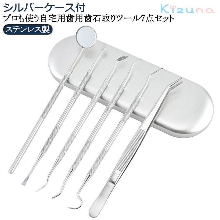 歯石取り 器具 自宅用 自分で取る スケーラー 歯垢 ヤニとり ステンレス製歯用ツール6点入り ステンレス製 先極細 デンタルツール 歯石除去 プロ仕様 敬老の日 プロも使う自宅用 デンタルツール6点セット 送料無料