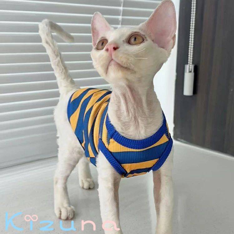 キャットウェア おしゃれ ストライプ バイカラー 犬服 猫服 柔らかい 肌着 ルームウェア インスタ映え デボンレックス スフィンクス猫 アビシニアン ペットウェア タンクトップ 春 夏 秋 無毛猫 着脱簡単 コーニッシュレックス kizuna-shop-10033914 絆shop サンプル画像2