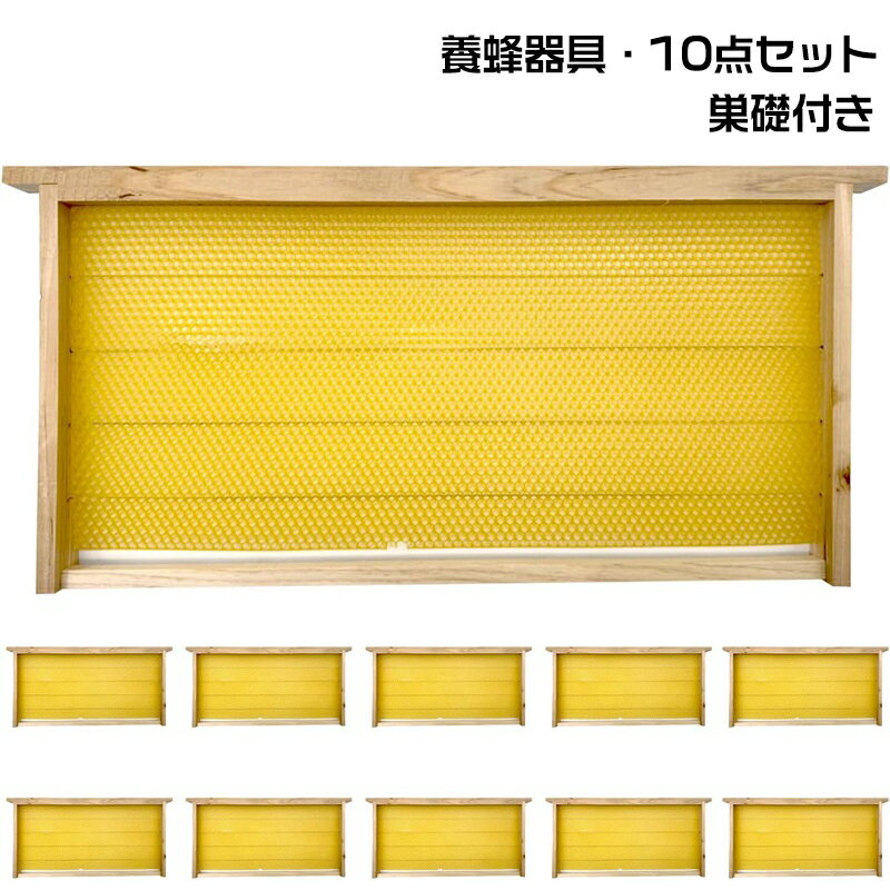 【楽天1位受賞】即納 養蜂器具 10点