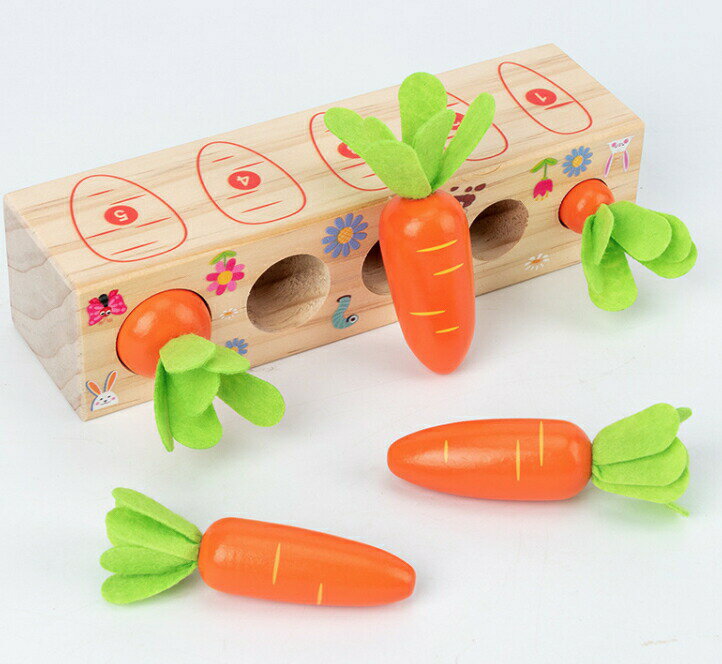 知育玩具 おもちゃ 玩具 モンテッソーリ 教具 木製 にんじん 型はめ パズル 太さ