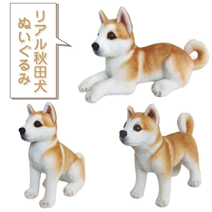 Rakuten - ＼SALE 1点5％OFF 2点10％OFF／ぬいぐるみ 犬 秋田犬 いぬ 犬 リアル かわいい 萌え もこもこ 子供 彼女 飾り おもちゃ プレゼント ギフト 贈り物 お祝い 誕生日 記念日 30CM