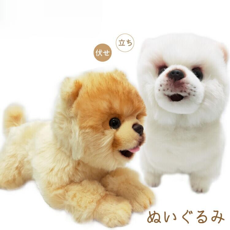 乐天商城 - ＼SALE 1点5％OFF 2点10％OFF／ポメラニアン サマーカット ぬいぐるみ クリーム 白 伏せ 立ち 犬 おもちゃ 雑貨 グッズ お誕生日 ホワイト うす茶 オレンジ 這い お祝い ハロウィン