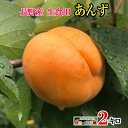 7月中旬〜下旬　 生食用 あんず 長野県産　2キロ