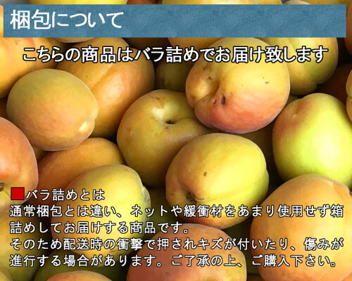 【7月上旬発送予定】加工用あんずアプリコット減農薬長野県産2キロ