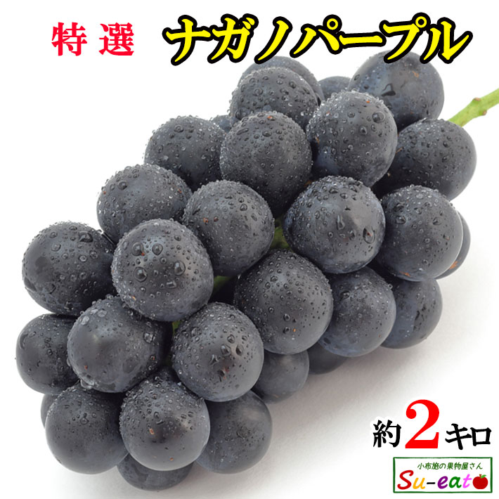 餴ȿ٤̵֤ɤʼ