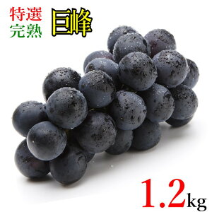 9月上旬〜下旬発送 特選 巨峰 種なし ぶどう 長野県産 1.2ロ レビューを書いたら200円クーポン