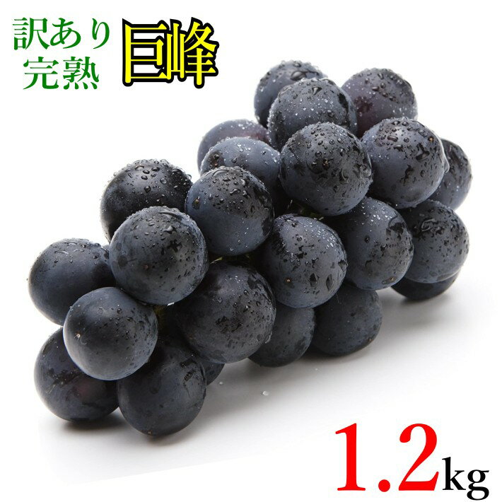 9月上旬〜下旬　巨峰　種なし 訳あり　ぶどう 長野県産 1.2キロ　レビューを書いたら200円クーポン