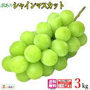 【産直品】ぶどう シャインマスカット晴王 【赤秀】 1房(約700g) 　「 岡山県産」JA全農おかやま