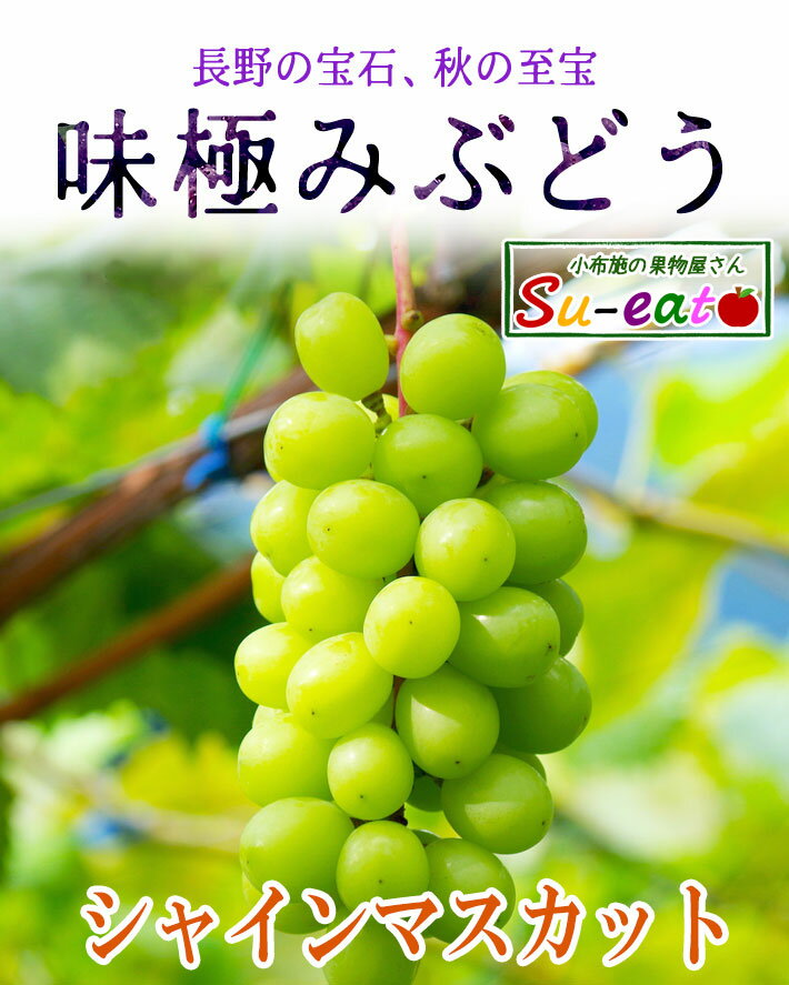 サンプル画像2