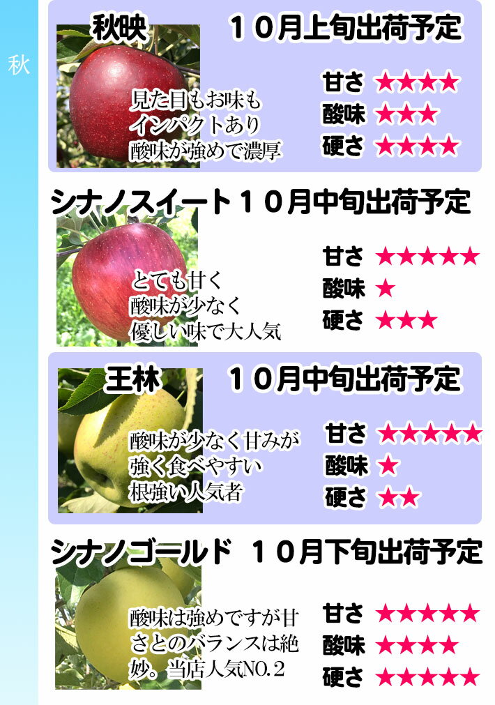 【ご予約受付中】 送料無料 長野産 訳あり 葉とらず 味極み りんご 減農薬 産地直送 10キロ