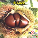 あす楽 小布施栗 2キロ レビューを書いたら200円クーポン