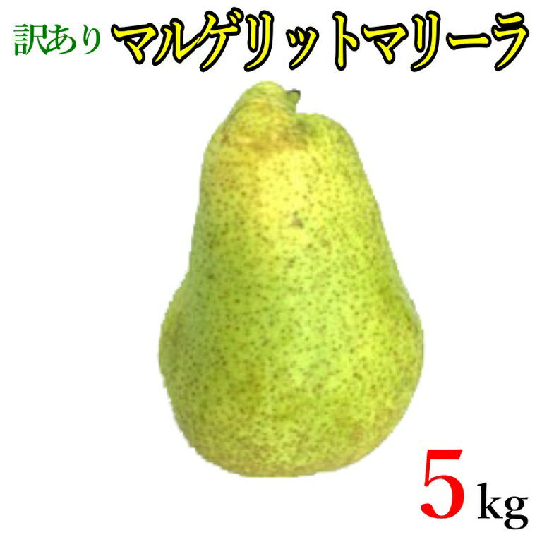 本日限定10%OFF 　9月下旬〜10月上旬　マルゲリット　マリーラ　訳あり 洋梨 減農薬 5キロ　レビューを書いたら200円クーポン