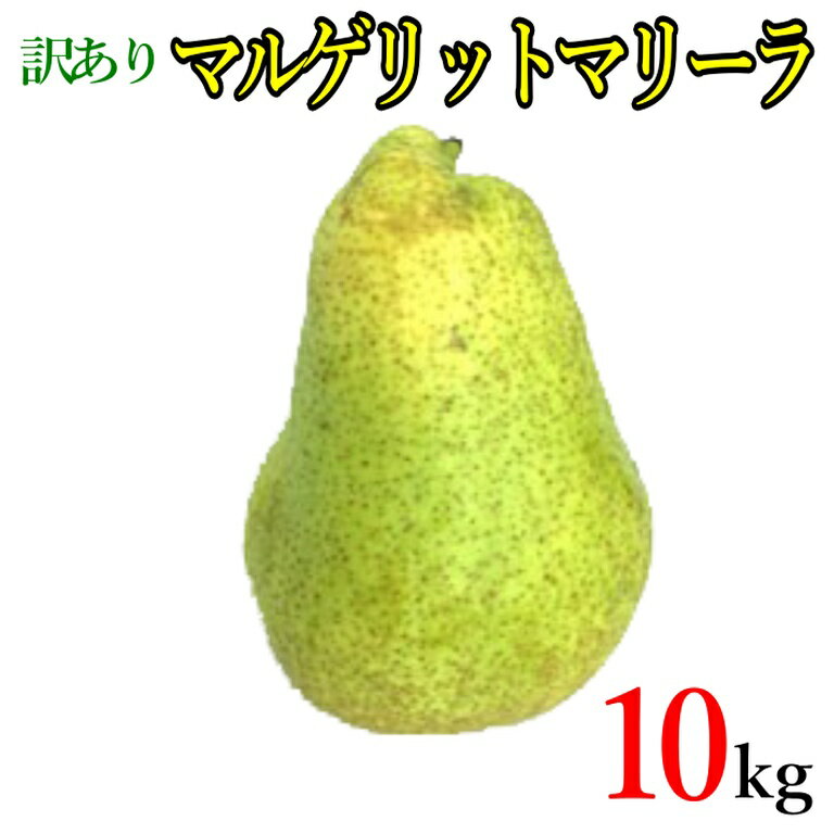 【ふるさと納税】山形のラ・フランス 大玉 約10kg(20～28玉・サイズ4L～6L) fz20-674 ラフランス 洋梨 フルーツ 果物 お取り寄せ 送料無料 洋なし