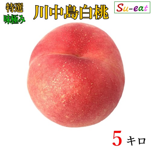 8月下旬 川中島白桃 特選 減農薬 長野県産 5キロ レビューを書いたら200円クーポン 8月下旬 川中島白桃 特選 減農薬 長野県産 5キロ レビューを書いたら200円クーポン