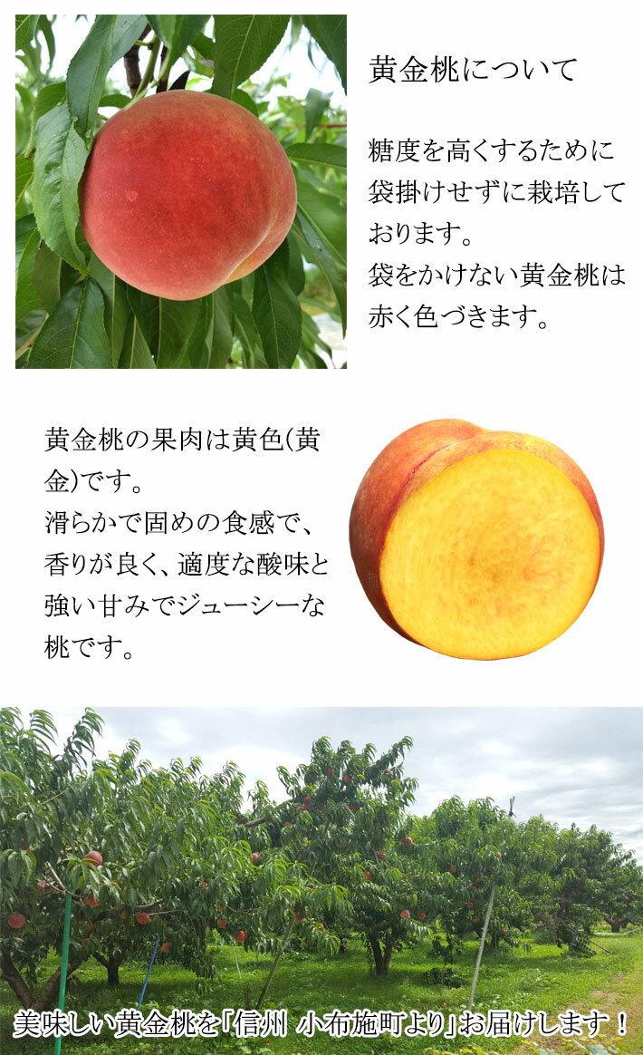 8月中旬〜下旬　特選 黄金桃 減農薬 長野県産 5キロ　レビューを書いたら200円クーポン