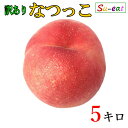 8月中旬~下旬 なつっこ 訳あり 桃 減農薬 長野県産 5キロ レビューを書いたら200円クーポン