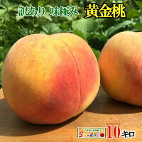 本日限定10%OFF 　8月中旬〜下旬　黄金桃 訳あり　減農薬 長野県産 10キロ　レビュ...