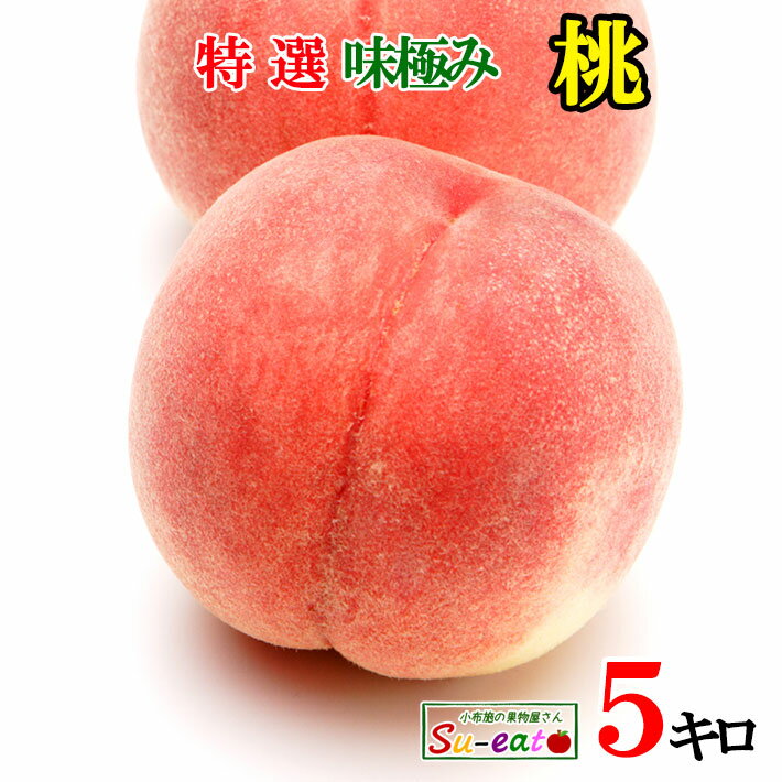 8月上旬〜中旬　特選　なつっこ　減農薬 長野県産 5キロ　レビューを書いたら200円クーポン