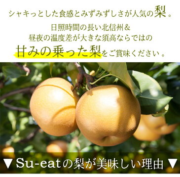 9月下旬発送 秋月 梨 訳あり 減農薬 長野県産　6キロ　レビューを書いたら200円クーポン