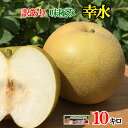 8月下旬〜9月上旬　幸水　訳あり 梨 減農薬 長野県産 10キロ　レビューを書いたら200円クーポン