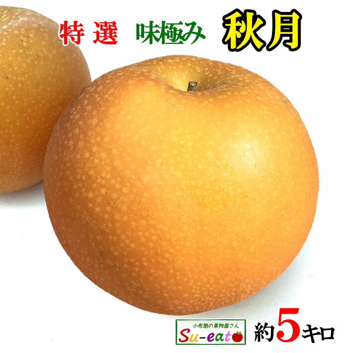 【ふるさと納税】【特秀品！】丸亀育ちの梨　約2kg　【 梨 ナシ 果物 フルーツ みずみずしく すっきりとした甘さ シャキシャキとした歯触り 冷蔵 】　お届け：2024年8月初旬～9月中旬