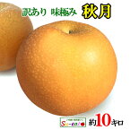 10月中旬 秋月 梨 訳あり 減農薬 完熟 長野県産　11キロ　レビューを書いたら200円クーポン