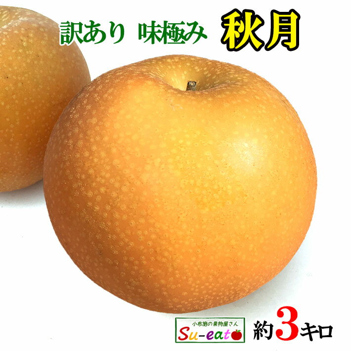 10月中旬 秋月　梨　訳あり 減農薬 長野県産　3キロ　レビューを書いたら200円クーポン