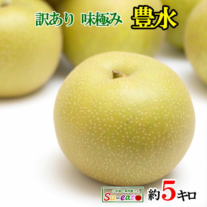 9月上旬〜中旬　豊水 訳あり　梨　減農薬 長野県産　5キロ　レビューを書いたら200円クーポン