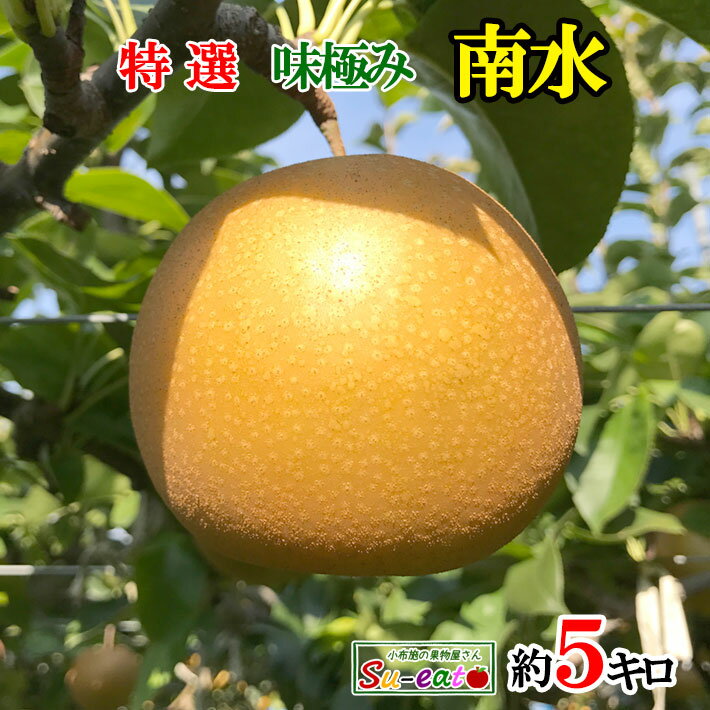 9月中旬〜下旬 特選 南水 梨 減農薬 長野県産 5キロ レビューを書いたら200円クーポン