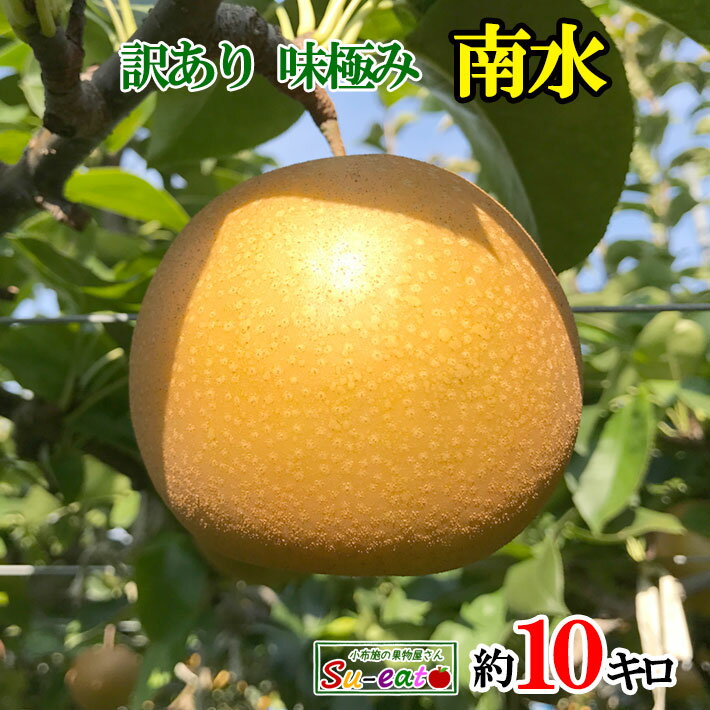 10月上旬〜中旬　南水　梨　訳あり　減農薬 長野県産 10キロ　レビューを書いたら200円クーポン