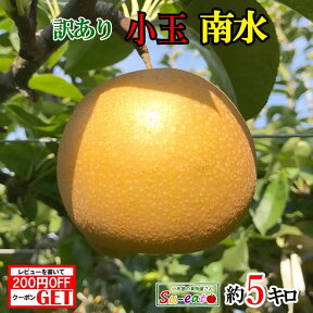 10月上旬〜中旬　小玉　南水　梨　訳あり　減農薬 長野県産 5キロ　レビューを書いたら200円クーポン