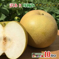 8月中旬〜下旬　サザンスイート　訳あり 梨 減農薬 長野県産　10キロ　レビューを...