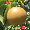 本日限定10%OFF あす楽 南水 梨 訳あり 減農薬 長野県産 10キロ レビューを書いたら200円クーポン