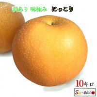 10月中旬〜下旬 にっこり 梨 訳あり 減農薬 完熟 長野県産 11キロ レビューを書いたら200円クーポン