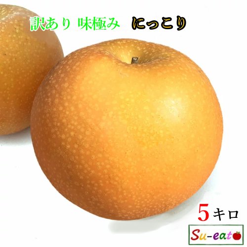 10月中旬〜下旬　にっこり 梨 訳あり 減農薬 長野県産 5キロ　レビューを書いたら200円クーポン