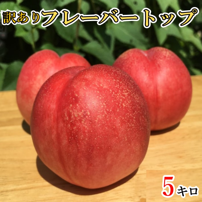 8月中旬〜下旬 ネクタリン フレーバートップ 訳あり 減農薬 長野県産 5キロ レビューを書いたら200円クーポンのサムネイル