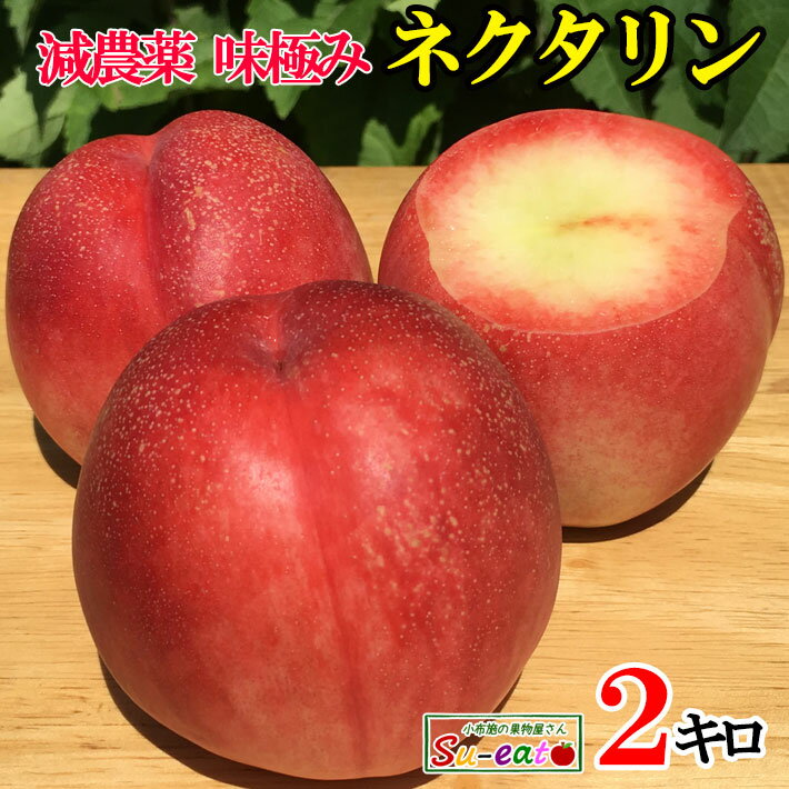 8月下旬　ネクタリン 　訳あり 減農薬 長野県産 2キロ　レビューを書いたら200円クーポンのサムネイル