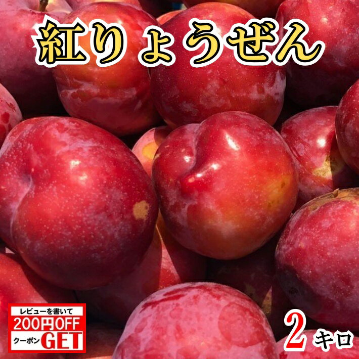 7月中旬〜下旬　紅りょうぜん　プラム すもも 長野県産 2キロ レビューを書いたら200円クーポン