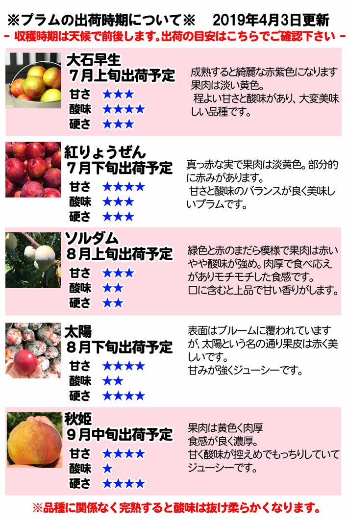7月上旬〜中旬　大石早生　プラム すもも 長野県産 2キロ レビューを書いたら200円クーポン