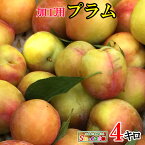 7月上旬〜中旬　加工用 プラム すもも 減農薬 長野県産 4キロ　レビューを書いたら200円クーポン