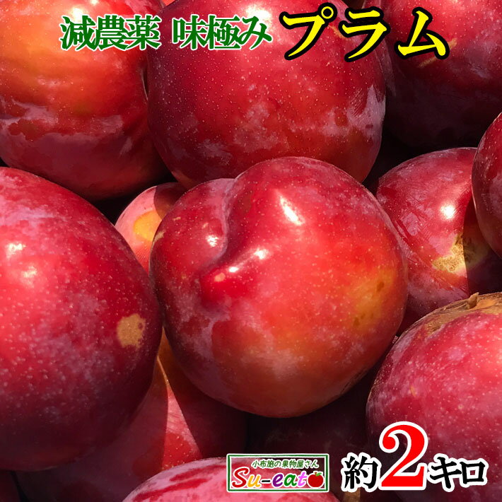 7月上旬〜中旬　大石早生　プラム すもも 長野県産 2キロ レビューを書いたら200円...